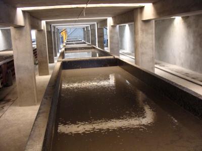 坯體(tǐ)發氣過程